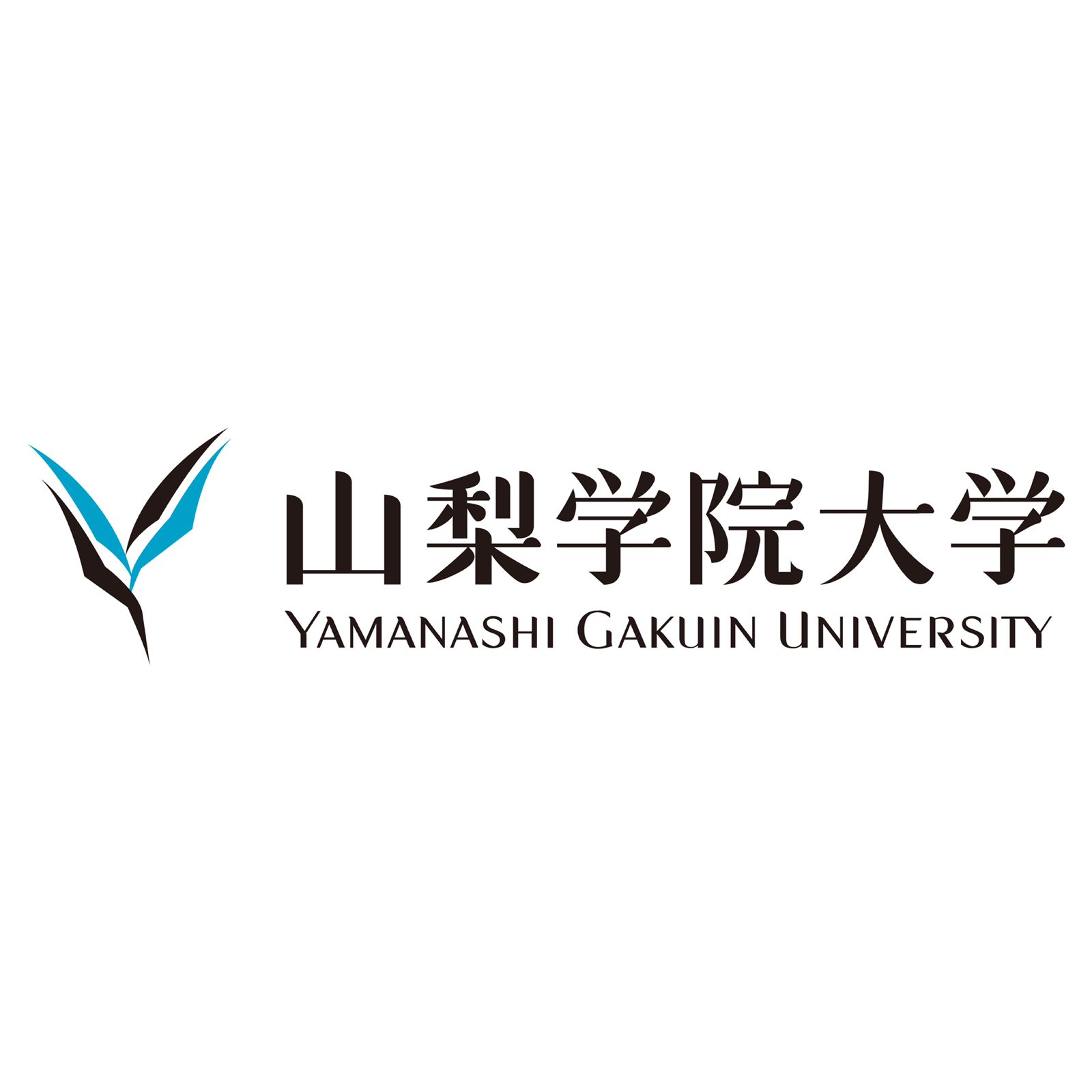 Yamanashi Gakuin University