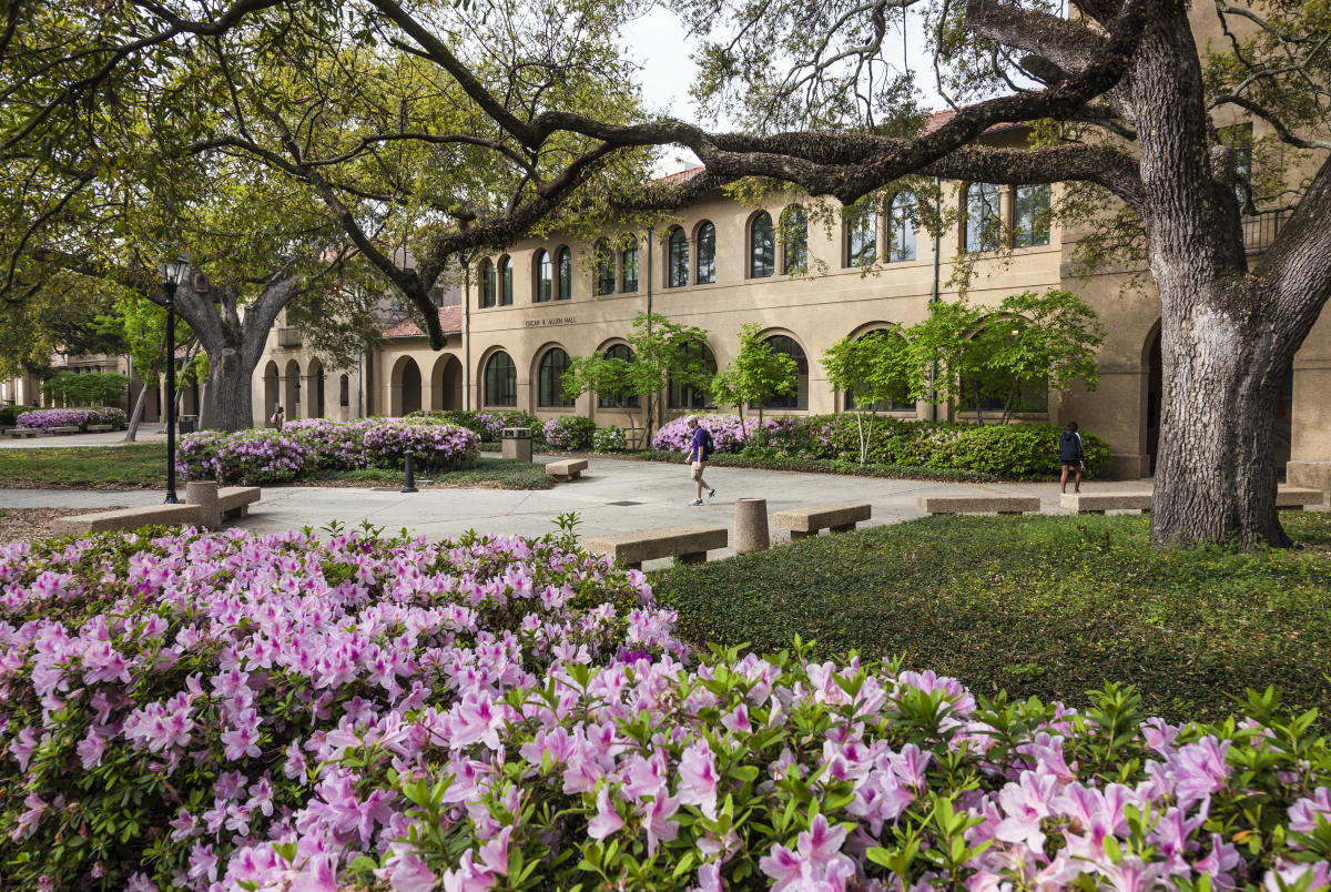 Louisana State University