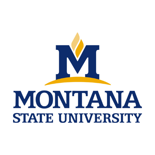 Montana State University