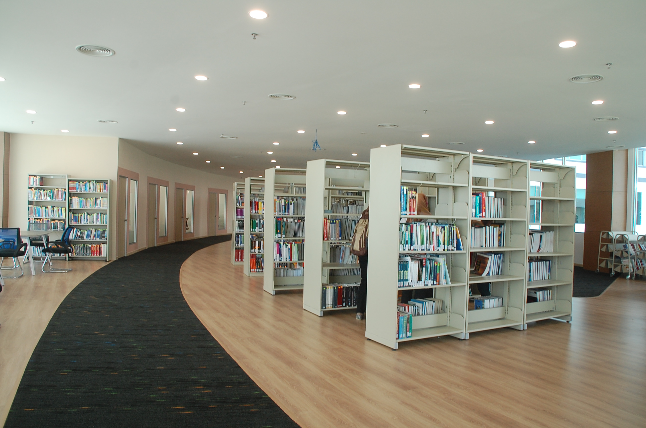 mahsa university library