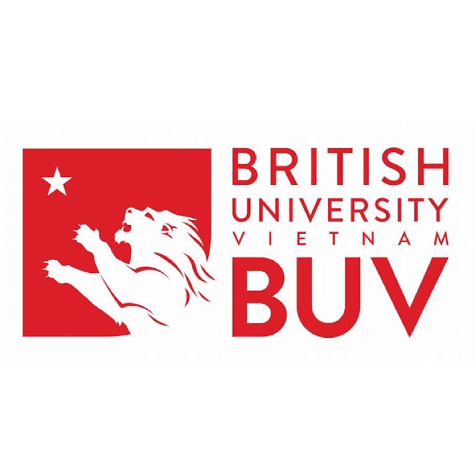 british university vietnam