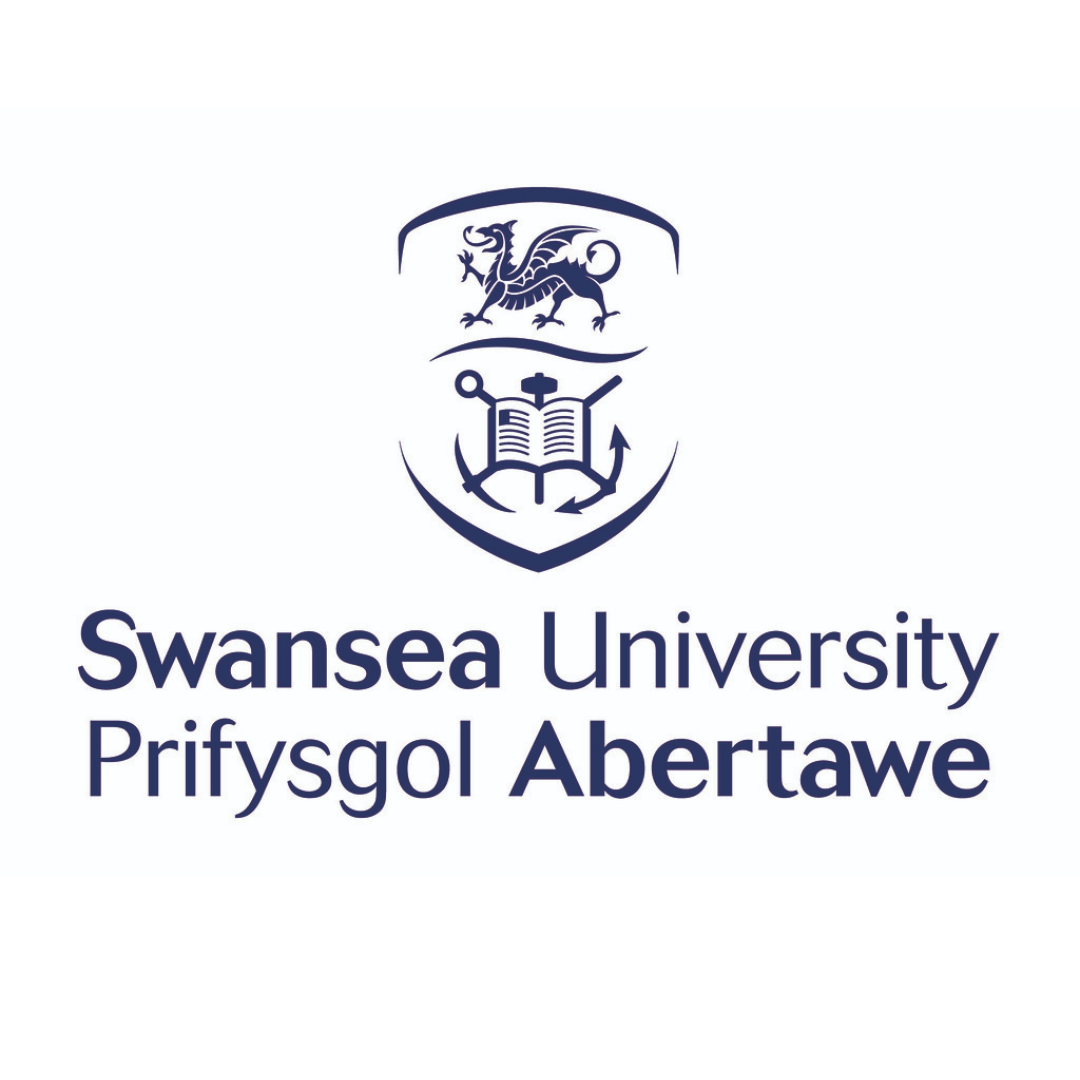 Swansea University