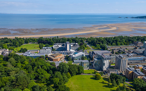 swansea university