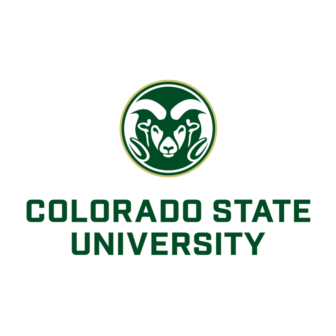 colorado state university